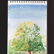 My project for course: Daily Sketching for Creative Inspiration. Traditional illustration, Sketching, Creativit, Drawing, and Sketchbook project by Shona Burch - 02.18.2024