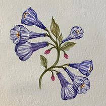 Meu projeto do curso: Ilustração botânica com aquarela. Traditional illustration, Fine Arts, Painting, Drawing, Watercolor Painting, and Botanical Illustration project by Larissa Moreira de Andrade - 02.18.2024