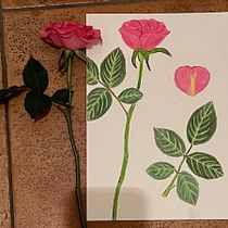 Mein Abschlussprojekt für den Kurs: Botanische Illustration mit Wasserfarben. Traditional illustration, Fine Arts, Painting, Drawing, Watercolor Painting, and Botanical Illustration project by Irina Lempp - 02.18.2024