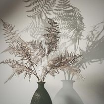 Mijn project van de cursus: Botanische stillevenfotografie. Product Photograph, Fine-Art Photograph, Lifest, and le Photograph project by Wilma Star - 02.19.2024