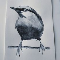 Mein Abschlussprojekt für den Kurs: Illustriere Vögel mit expressiven Aquarelltechniken. Traditional illustration, Watercolor Painting, Realistic Drawing, and Naturalistic Illustration project by Karin - 02.20.2024