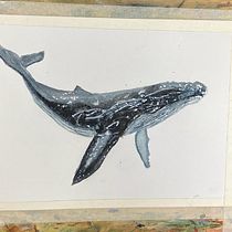 Mon projet du cours : Techniques d'illustration naturaliste : baleines à l'aquarelle. Un progetto di Belle arti, Pittura, Pittura ad acquerello e Illustrazione naturalistica di Jacques Delaunay - 20.02.2024