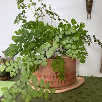 Meu projeto do curso: Cerâmica: design e criação de peças para autoirrigação. Un proyecto de Diseño de complementos, Artesanía, Bellas Artes, Cerámica y DIY de Babi Vieira - 20.02.2024