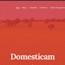 Mi proyecto del curso: Creación de una web profesional con WordPress. Projekt z dziedziny UX / UI, Informat, ka, Web design, Tworzenie stron internetow, ch, Programowanie bez kodu, Projektowanie produktu c i frowego użytkownika Sara Márquez Sánchez - 20.01.2024