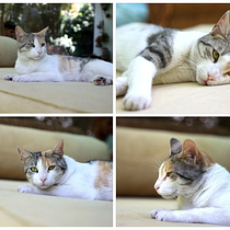 Mi proyecto del curso: Fotografía de viajes y lifestyle. Un proyecto de Fotografía, Fotografía en exteriores, Fotografía Lifest y le de Cristian Conejeros Bravo - 18.02.2024