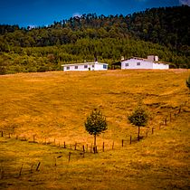 Mi proyecto del curso: Introducción a la fotografía digital. Un proyecto de Fotografía y Fotografía digital de Alan Zamora - 03.05.2022