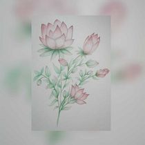 Mi proyecto del curso: Dibujo y composición naturalista en acuarela. Traditional illustration, Drawing, Watercolor Painting, and Naturalistic Illustration project by Laura Huerta - 02.22.2024