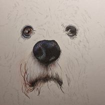 Mi proyecto del curso: Retratos de Mascotas en Lápices de Colores. Traditional illustration, and Naturalistic Illustration project by Maria Mancuso - 02.22.2024