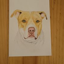 Mi proyecto del curso: Retratos de Mascotas en Lápices de Colores. Traditional illustration, and Naturalistic Illustration project by cristianhurtadocm - 02.22.2024
