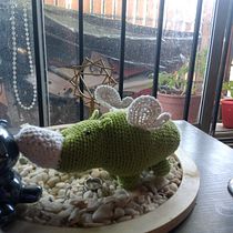 Mi proyecto del curso: Diseño y creación de amigurumis. Projekt z dziedziny Craft, Projektowanie zabawek,  Tkactwo, DIY, Sz, dełkowanie, Amigurumi, Wzornictwo tekst i liów użytkownika romerosilvadomingo - 23.02.2024