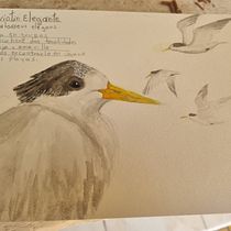el inicio del cuaderno de viajes y rejistro. Drawing, Watercolor Painting, Sketchbook, Naturalistic Illustration, and Pencil Drawing project by alejandra gonzalez salazar - 02.20.2024