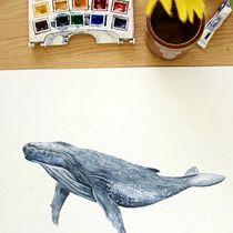 My project for course: Naturalist Illustration Techniques: Whales in Watercolor. Un progetto di Belle arti, Pittura, Pittura ad acquerello e Illustrazione naturalistica di Ambre Tatar - 24.02.2024
