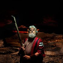 Mi proyecto del curso: Secretos del fotomontaje y el retoque creativo. Photograph, Photograph, Post-production, VFX, Photo Retouching, Fine-Art Photograph, Photographic Composition, and Photomontage project by Benjamin Martinez - 02.23.2024