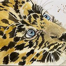 Meu projeto do curso: Retratos expressivos de animais em aquarela. Un projet de Illustration traditionnelle, Aquarelle, Dessin réaliste et Illustration naturaliste de Alessandra Carvalho - 24.02.2024