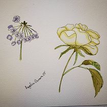 Mi proyecto del curso: Sketchbook botánico: una aproximación meditativa. Ilustração tradicional, Esboçado, Desenho, Pintura em aquarela, Ilustração botânica, e Sketchbook projeto de Angelica Barrera - 21.02.2024