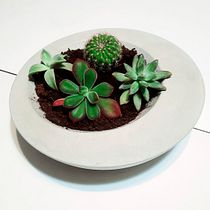 Cement design. Un progetto di Design di accessori, Artigianato, Interior design, Interior Design e DIY di Anna Andreeva - 24.02.2024