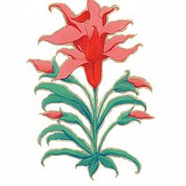 Il mio progetto del corso: Introduzione all'arte islamica: crea pattern biomorfici Ein Projekt aus dem Bereich Malerei, Musterdesign, Zeichnung, Aquarellmalerei und Illustration mit Tinte von Martina Scarlata - 26.02.2024