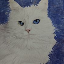 Mi proyecto del curso: Retratos de Mascotas en Lápices de Colores. Traditional illustration, and Naturalistic Illustration project by celia_ - 02.28.2024