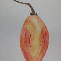 Proyecto final de Acuarela. Un progetto di Illustrazione tradizionale, Belle arti, Pittura, Disegno, Pittura ad acquerello e Illustrazione botanica di marycordero101 - 27.02.2024