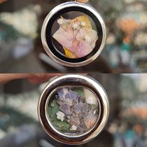 Meu projeto do curso: Técnicas básicas para prensar flores e plantas. Un proyecto de Artesanía, DIY, Diseño floral y vegetal de Marcel R. Queiroz - 28.02.2024