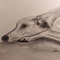 Mein Abschlussprojekt für den Kurs: Tiere zeichnen mit Kohle und Tusche. Fine Arts, Drawing, Ink Illustration, and Naturalistic Illustration project by petra_falk - 02.28.2023