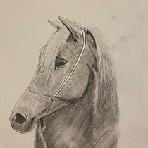 My project for course: Realistic Wildlife Images in Graphite Pencil. Un projet de Beaux Arts, Dessin au cra, on, Dessin, Dessin réaliste et Illustration naturaliste de Sue Perry - 29.02.2024