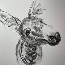 My project for course: Animal Illustration with Charcoal and Ink. Fine Arts, Drawing, Ink Illustration, and Naturalistic Illustration project by Sabine Nimz - 03.01.2024