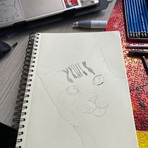 My project for course: The Art of Sketching: Transform Your Doodles into Art CAT ILLUSTRATION Ein Projekt aus dem Bereich Traditionelle Illustration, Bleistiftzeichnung, Zeichnung und Sketchbook von alejandracaceressalazar - 01.03.2024