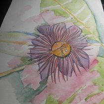 Mi proyecto del curso: Técnicas aplicadas de ilustración en acuarela. Un progetto di Illustrazione tradizionale, Belle arti, Pittura e Pittura ad acquerello di Issa Roncallo - 03.03.2024