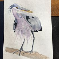 My project for course: Naturalist Watercolor with Expression and Personality. Traditional illustration, Watercolor Painting, and Naturalistic Illustration project by Jan Kent - 03.03.2024