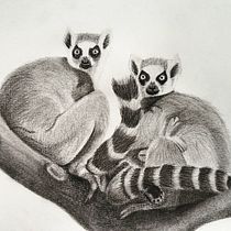 Mijn project van de cursus: Leer dieren illustreren met houtskool en inkt. Fine Arts, Drawing, Ink Illustration, and Naturalistic Illustration project by Melissa Gerritsen - 03.03.2024