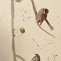 New Zealand Garden birds. Traditional illustration, Watercolor Painting, Realistic Drawing, and Naturalistic Illustration project by pat_sue_tetley - 03.05.2024