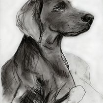 Mein Abschlussprojekt für den Kurs: Tiere zeichnen mit Kohle und Tusche. Fine Arts, Drawing, Ink Illustration, and Naturalistic Illustration project by Villy Takeva - 03.05.2024
