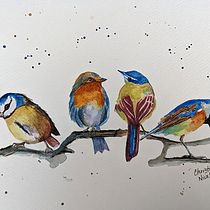 My project for course: Artistic Watercolor Techniques for Illustrating Birds. Traditional illustration, Watercolor Painting, Realistic Drawing, and Naturalistic Illustration project by Christie Nicklay - 03.04.2024