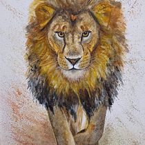 Meu projeto do curso: Retratos expressivos de animais em aquarela. Un projet de Illustration traditionnelle, Aquarelle, Dessin réaliste et Illustration naturaliste de Luciana Kohama - 05.03.2024