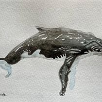 My project for course: Naturalist Illustration Techniques: Whales in Watercolor. Un progetto di Belle arti, Pittura, Pittura ad acquerello e Illustrazione naturalistica di Sandra Rohde - 08.03.2024