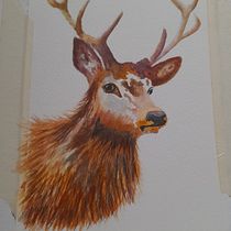 Il mio progetto del corso: Ritratti espressivi di animali ad acquerello. Un proyecto de Ilustración tradicional, Pintura a la acuarela, Dibujo realista e Ilustración naturalista				 de skylin74 - 08.03.2024