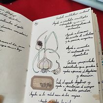 Mi proyecto del curso: Cuaderno botánico en acuarela. Projekt z dziedziny Trad, c, jna ilustracja, Malowanie akwarelą, R, sunek botaniczn i Sketchbook użytkownika Michelle Rosas - 09.03.2024