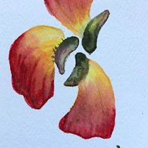 Meu projeto do curso: Aquarela floral: conecte-se com a natureza. Ilustração tradicional, Pintura, Pintura em aquarela e Ilustração botânica projeto de Tereza Karam - 10.03.2024
