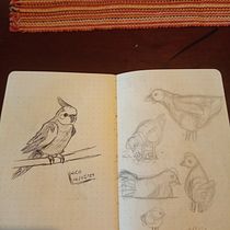 Meu projeto do curso: Sketching diário para inspiração criativa. Traditional illustration, Sketching, Creativit, Drawing, and Sketchbook project by frauchess - 03.10.2024