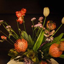 Mon projet du cours : Photographie de nature morte : créez des images en clair-obscur. Product Photograph, Fine-Art Photograph, Floral, and Plant Design project by Tania Gandrot - 03.11.2024