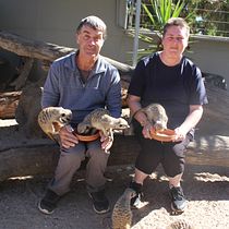 Meerkat Encounter Creative Writing for Beginners: Bringing Your Story to Life. Writing, Creativit, Stor, telling, Narrative, and Creative Writing project by Michelle Taylor - 03.12.2024