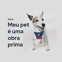 O meu pet é uma obra prima. Advertising, Marketing, Cop, writing, Creativit, and Content Writing project by anadealmeyda - 03.10.2024