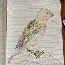 My project for course: Illustrated Life Journal: A Daily Mindful Practice. Fine Arts, Sketching, Creativit, Drawing, and Sketchbook project by TEODORA GHITA - 03.13.2024