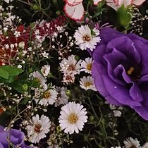 Mi proyecto del curso: Creación de ramos de flores desde cero. Interior Design, L, scape Architecture, Decoration, DIY, Floral, and Plant Design project by Sabina Gómez Fuentes - 03.14.2024