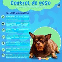 Mi proyecto del curso: Introducción al community management. Social Media, Digital Marketing, Content Marketing, Facebook Marketing & Instagram Marketing project by Yenny Leticia Hoil Salas - 03.14.2024