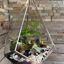 Mein Abschlussprojekt für den Kurs: Herstellung von Terrarien mit der Tiffanytechnik. Un proyecto de Diseño de complementos, Diseño de interiores, Decoración de interiores, DIY, Diseño floral y vegetal de Stefanie - 15.03.2024