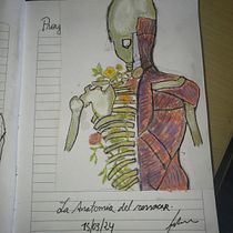 Anatomia del renacimiento Ein Projekt aus dem Bereich Zeichnung, Realistische Zeichnung und Anatomische Zeichnung von Felipe De Picker - 16.03.2024
