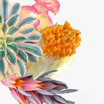 Mi proyecto del curso: Acuarela botánica: pinta el mundo natural. Artes plásticas, Pintura, Pintura em aquarela, Ilustração botânica e Ilustração naturalista projeto de Fabio Regueira - 10.03.2024