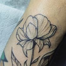 Mi proyecto del curso: Tatuaje botánico con puntillismo. Ilustração tradicional, Desenho de tatuagens e Ilustração botânica projeto de Beatriz De La Rosa - 17.03.2024